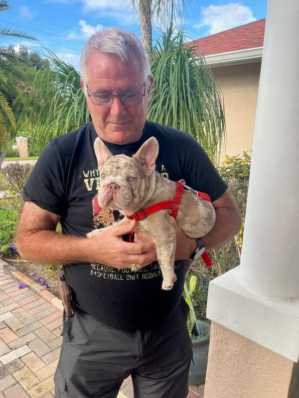 Customer photo of French Bulldog puppy from Christine L.