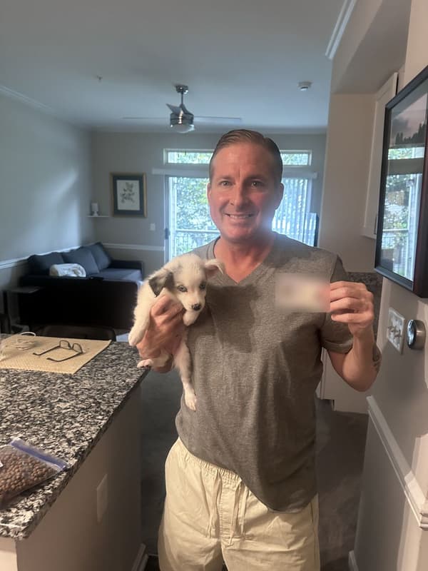 Customer photo of Miniature Australian Shepherd puppy from Matt Y.