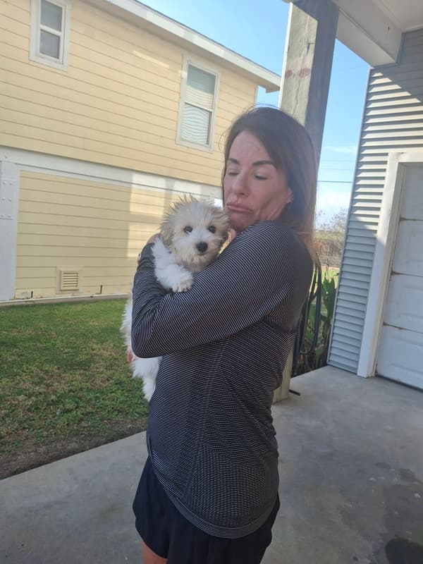 Customer photo of Coton De Tulear puppy from Christine S.