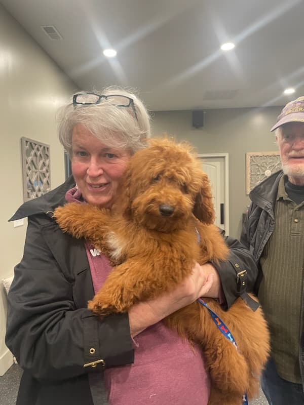 Customer photo of Goldendoodle, Mini puppy from Katherine M.