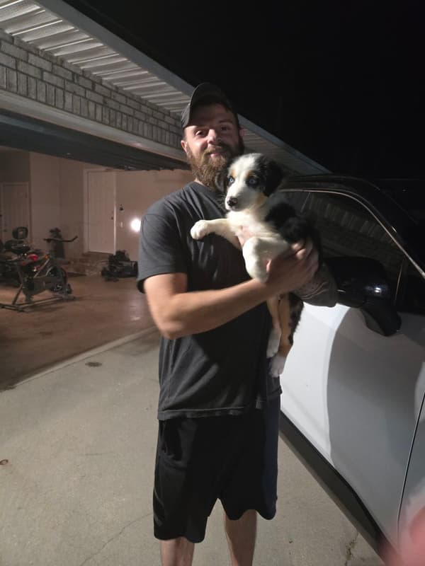 Customer photo of Australian Shepherd puppy from Grant B.