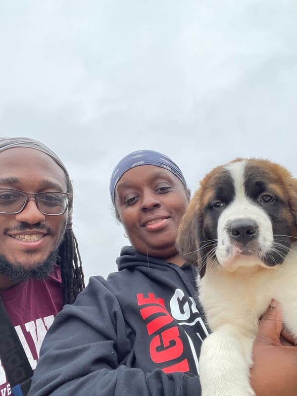 Customer photo of Saint Bernard - St. Bernard puppy from Dawnlyn H.