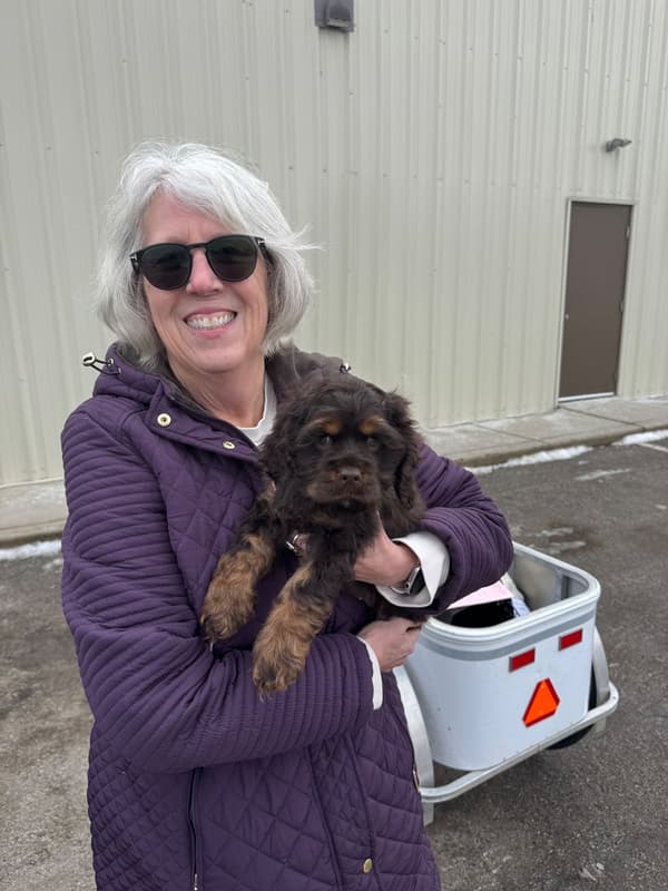 Customer photo of Cocker Spaniel puppy from Lisa B.