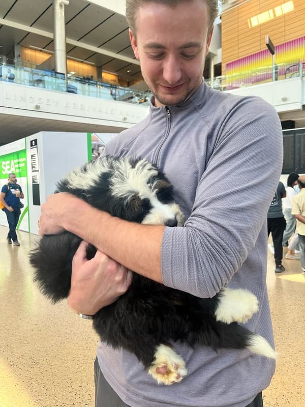Customer photo of Bernedoodle, Mini puppy from Georgia H.