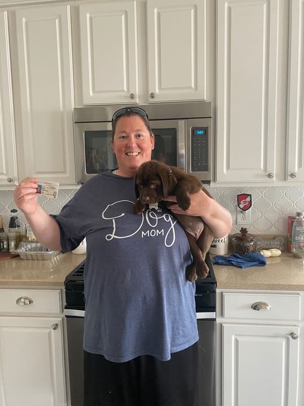 Customer photo of Labrador Retriever puppy from Nicky D.