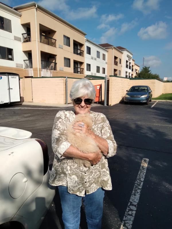 Customer photo of Bich-Poo - Bichpoo puppy from Sandra P.