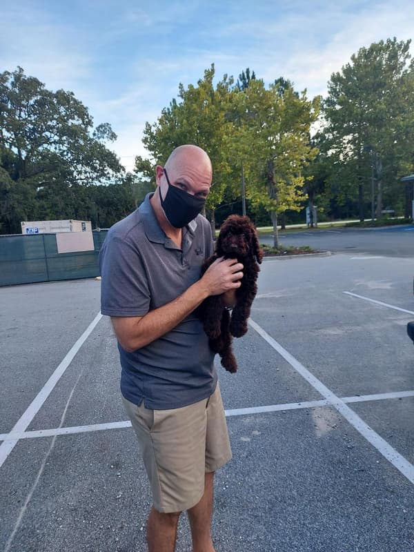 Customer photo of Goldendoodle puppy from James K.