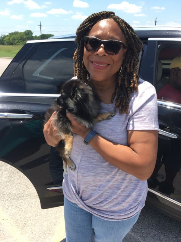 Customer photo of Pomsky puppy from Marlene C.