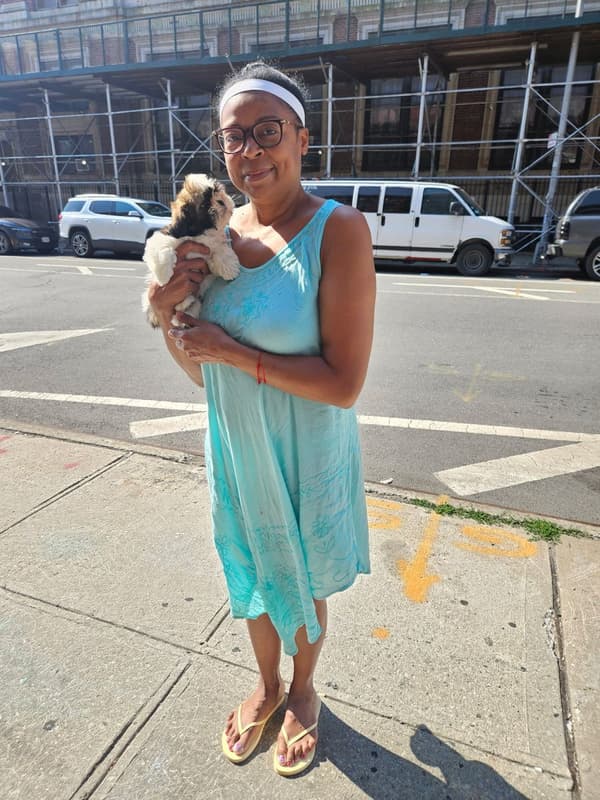 Customer photo of Shih Tzu puppy from Sylvia O.