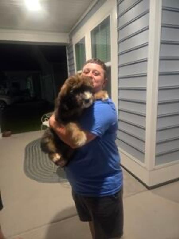 Customer photo of Bernedoodle puppy from Alana C.