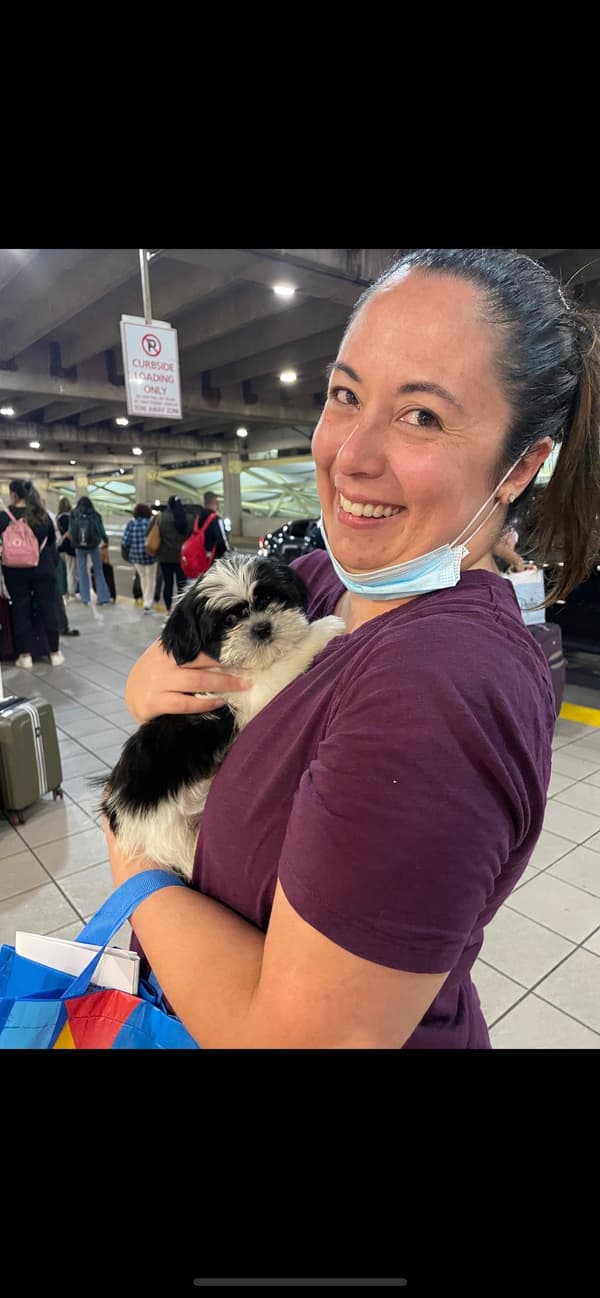 Customer photo of Shih Tzu puppy from Travis F.