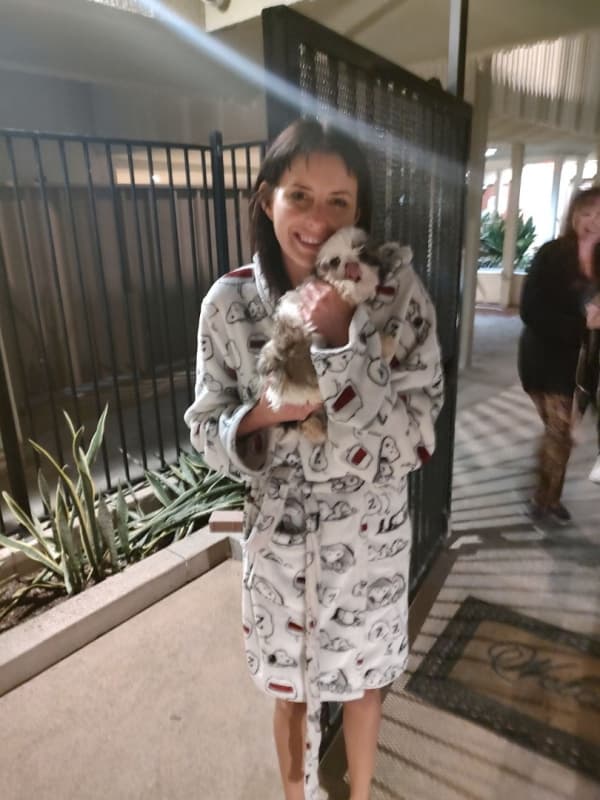 Customer photo of Shih Tzu puppy from Cindy D.