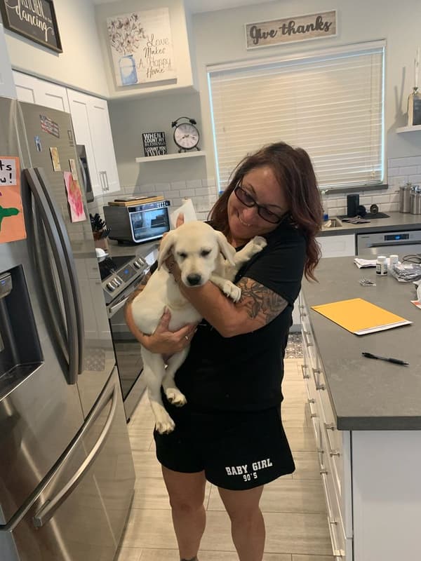 Customer photo of Labrador Retriever puppy from Theresa R.