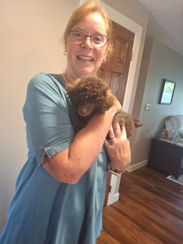 Customer photo of Poodle, Toy puppy from Melissa S.
