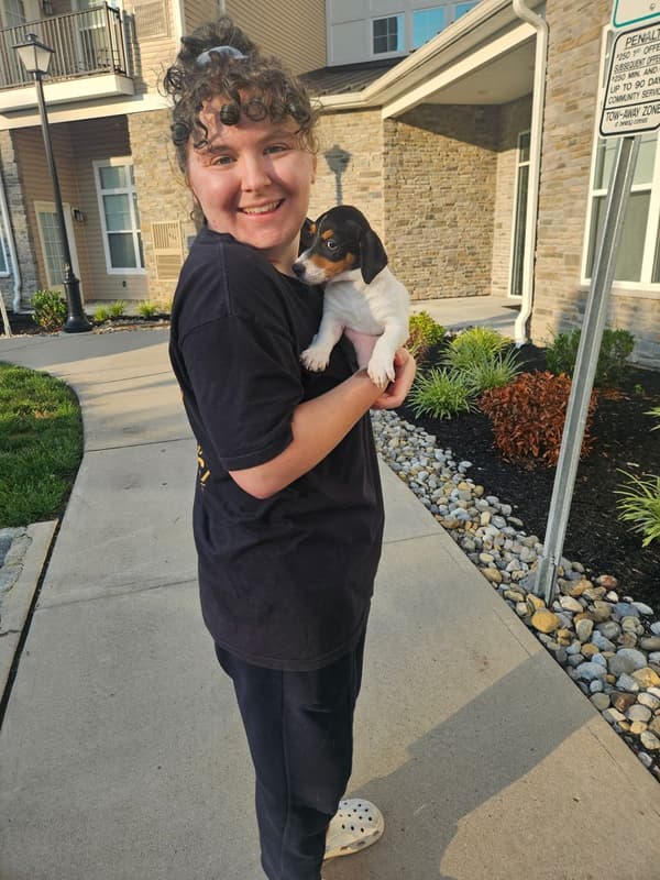 Customer photo of Jack Russell Terrier puppy from David B.
