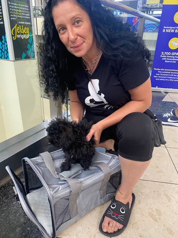 Customer photo of Poodle, Toy puppy from Zinaida G.