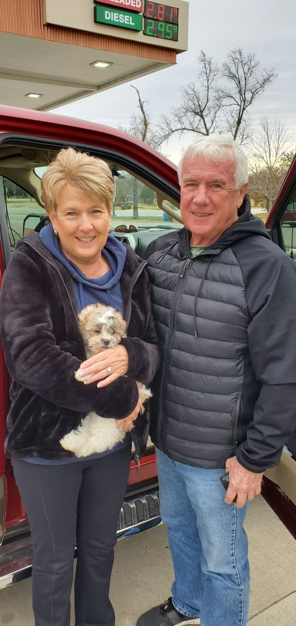 Customer photo of Shichon puppy from Barbara L.