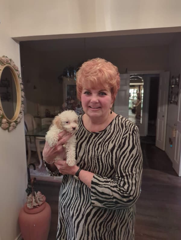 Customer photo of Poodle, Toy puppy from Brenda D.