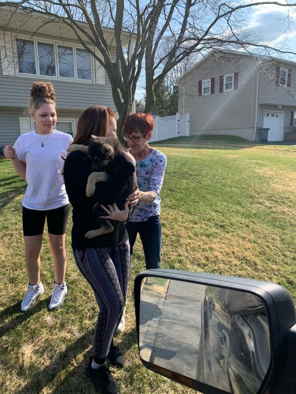 Customer photo of German Shepherd puppy from Kathryn B.