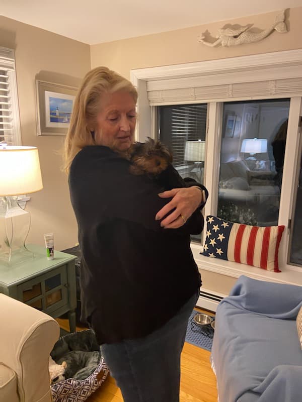 Customer photo of Yorkshire Terrier - Yorkie puppy from Patricia C.