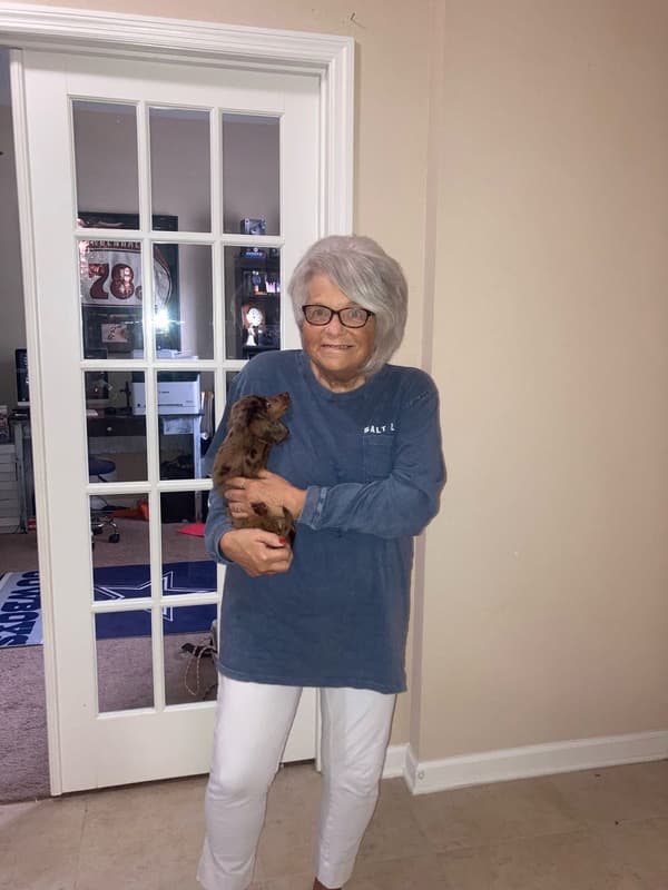 Customer photo of Dachshund, Mini puppy from Nancy M. 