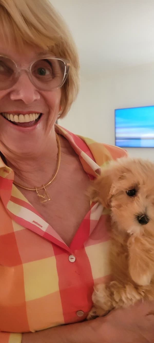 Customer photo of Malti Poo - Maltipoo puppy from Jane I.