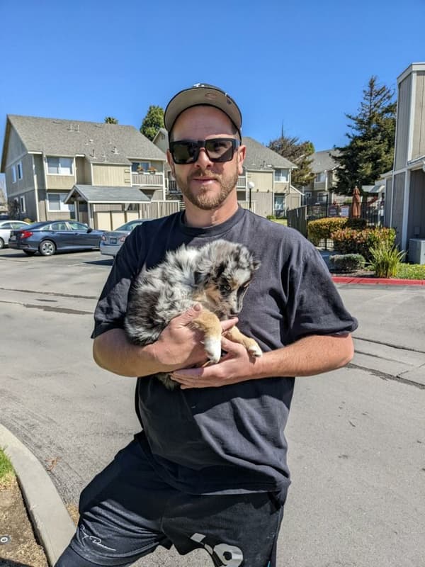 Customer photo of Australian Shepherd puppy from David E.
