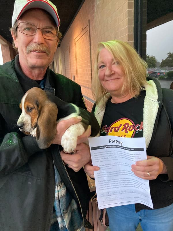 Customer photo of Basset Hound puppy from Laura R.