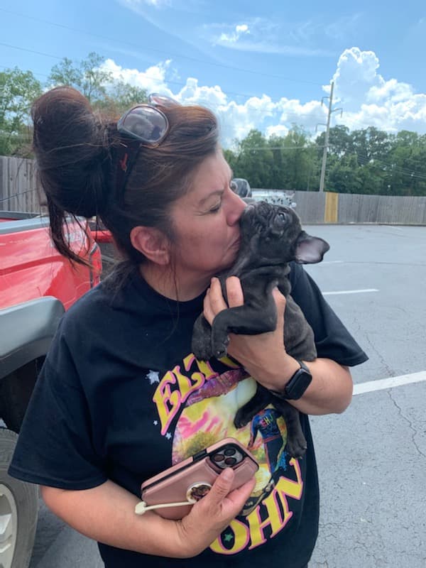 Customer photo of French Bulldog puppy from Teresa G.