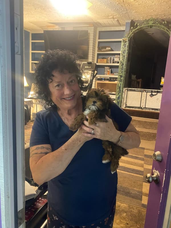 Customer photo of Shorkie puppy from Darla A.