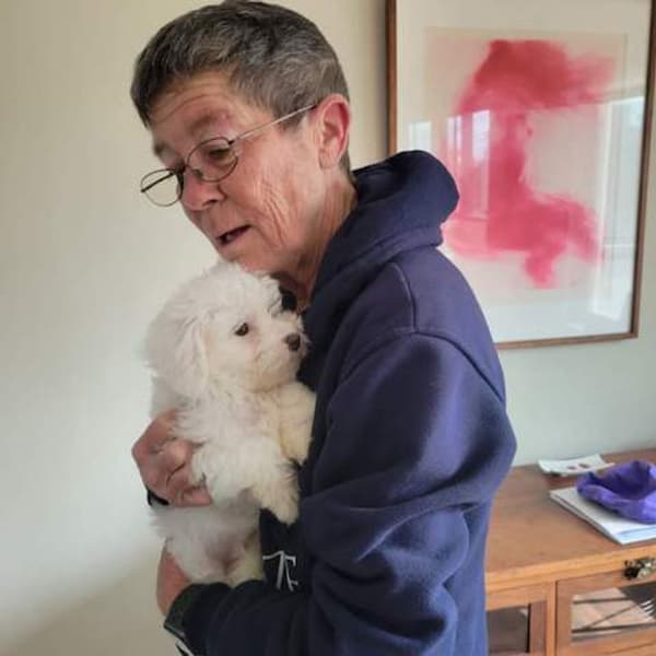 Customer photo of Malti Poo - Maltipoo puppy from Kate C.