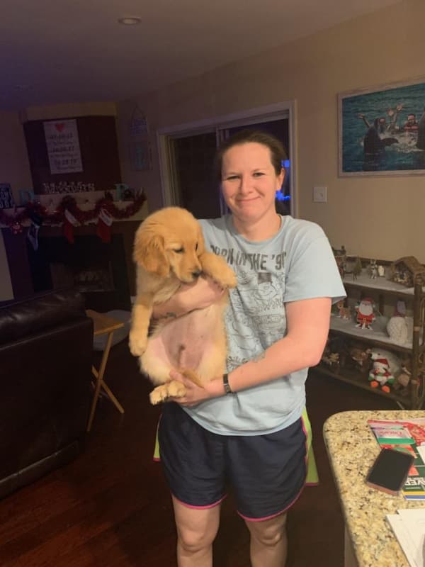 Customer photo of Golden Retriever puppy from Brandi S.