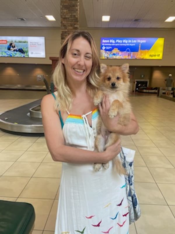 Customer photo of Pomeranian puppy from Heather W.
