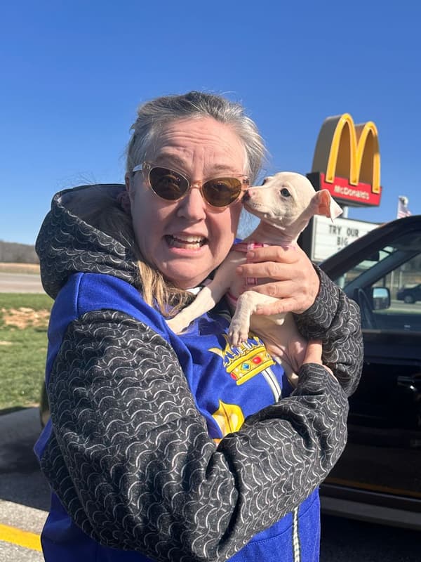 Customer photo of Italian Greyhound puppy from Joan M.