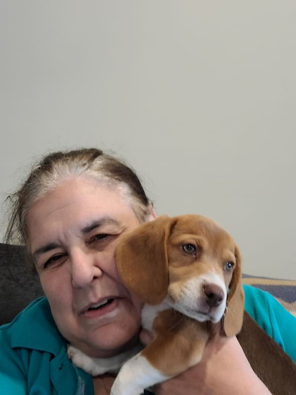 Customer photo of Beagle puppy from Nancy A.