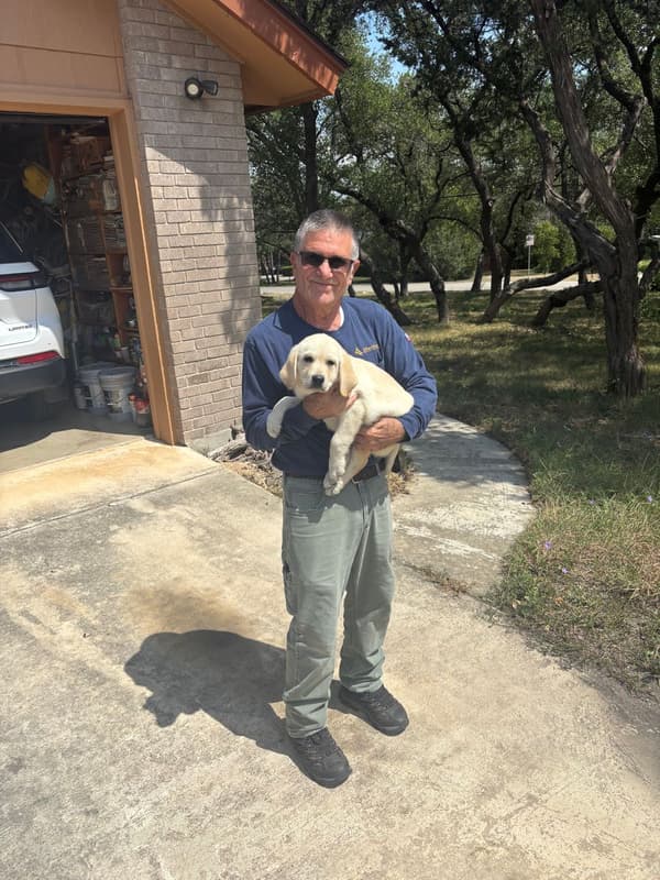 Customer photo of Labrador Retriever puppy from Gerald K.