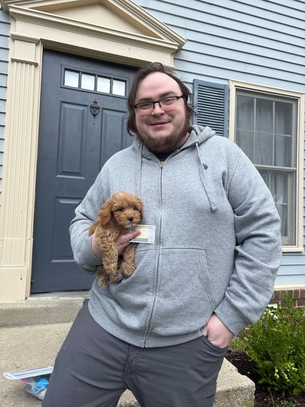 Customer photo of Havapoo puppy from Judith P.