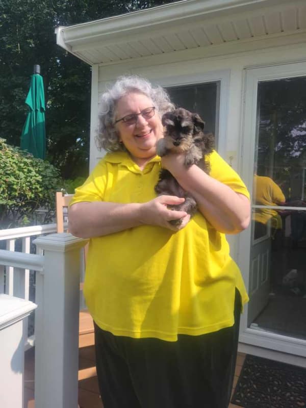 Customer photo of Schnauzer, Miniature puppy from Debora D.