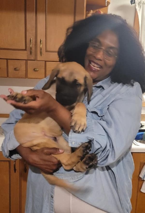 Customer photo of Mastiff puppy from Nkem C.