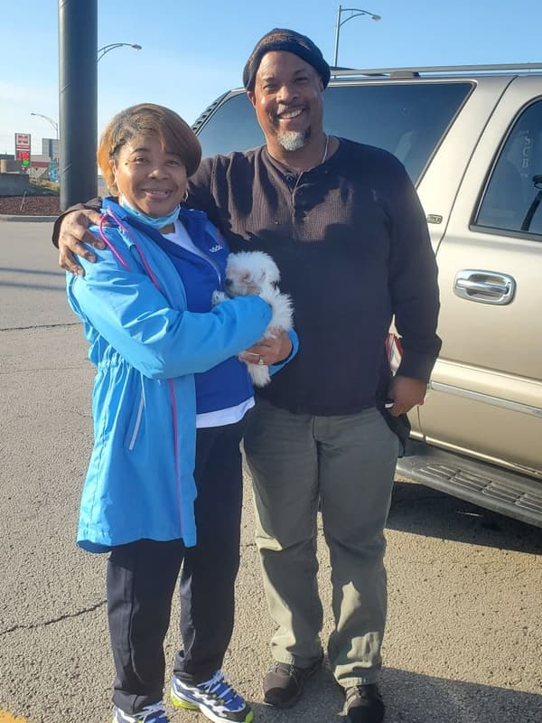 Customer photo of Bichon Frise puppy from James V.