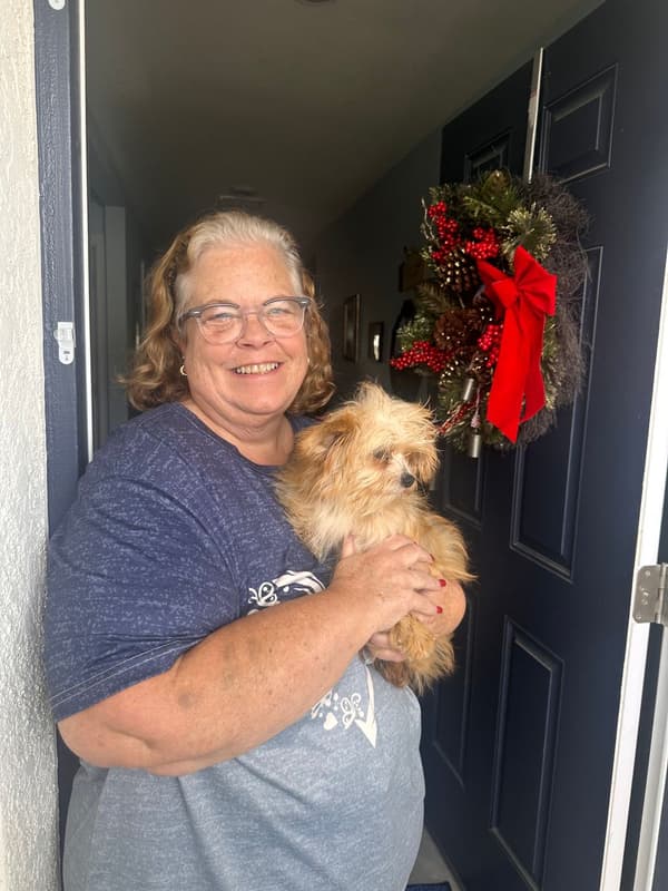 Customer photo of Chorkie puppy from Karen R.