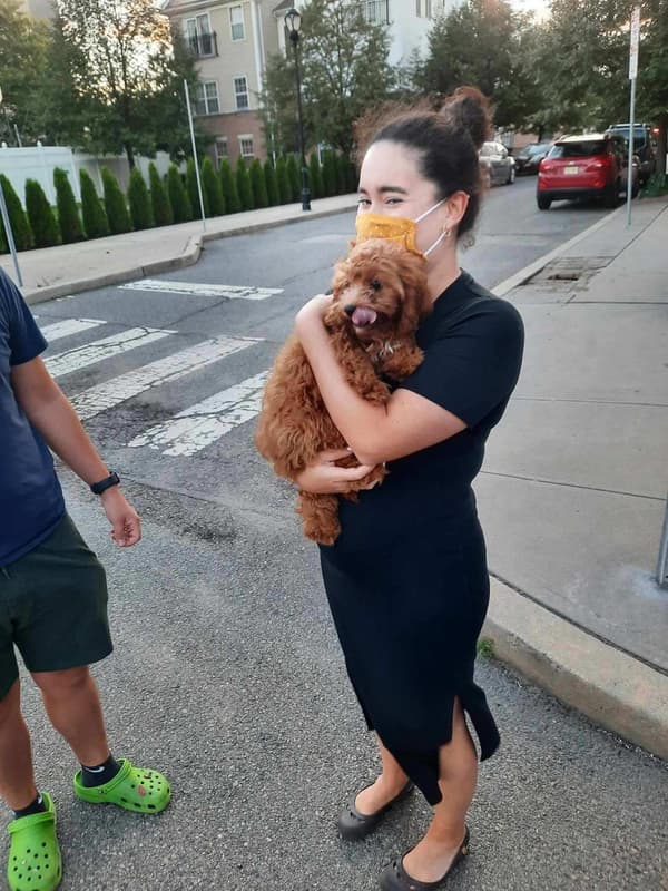 Customer photo of Cavapoo puppy from Hugo I.