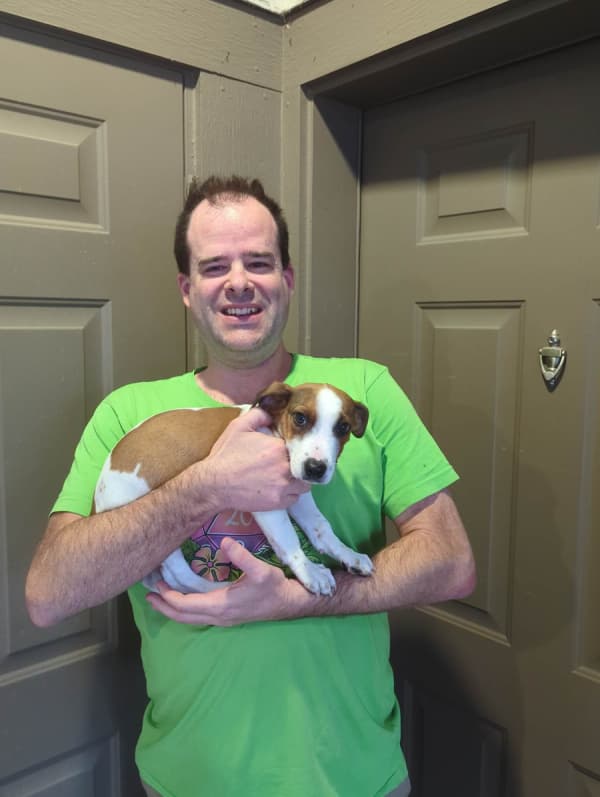 Customer photo of Jack Russell Terrier puppy from Andrew L.