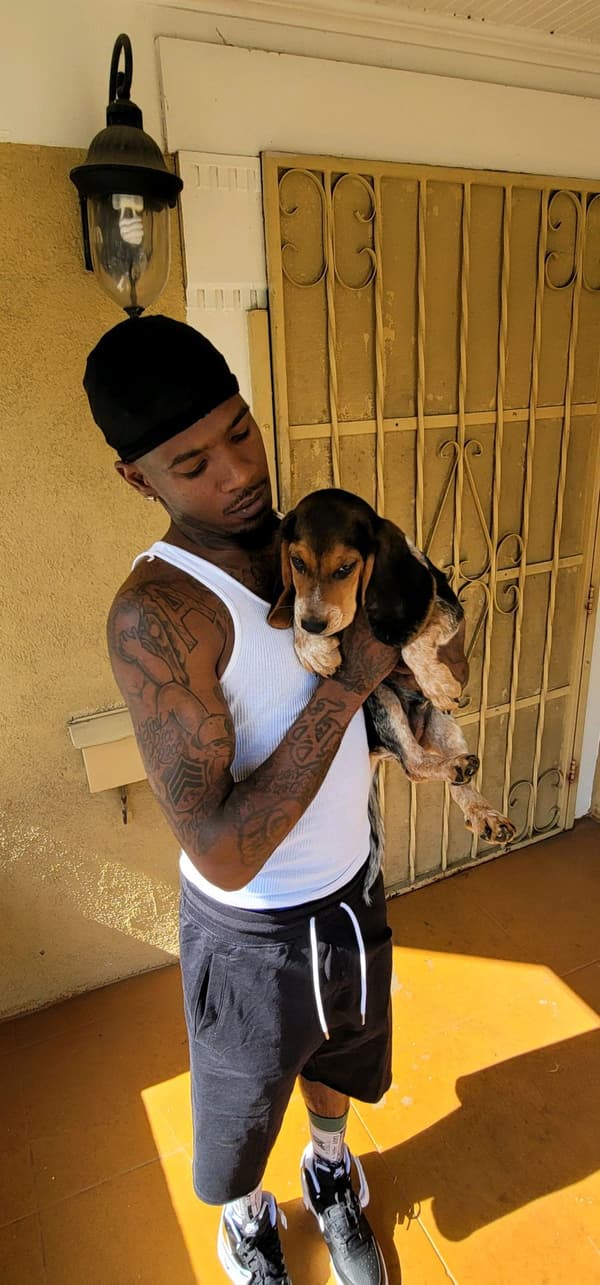 Customer photo of Beagle puppy from Alexus A.