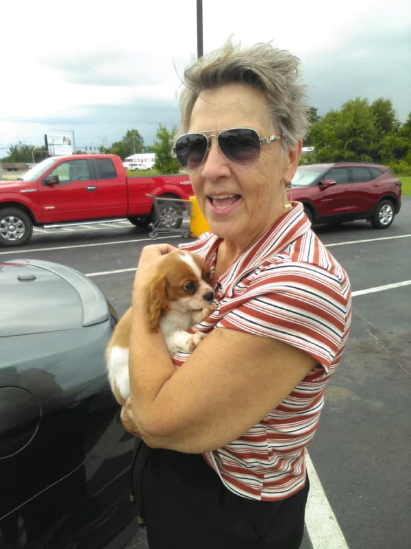 Customer photo of Cavalier King Charles Spaniel puppy from Nelson F.