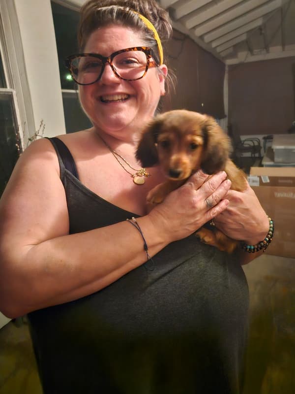 Customer photo of Dachshund, Mini puppy from Nicole S.