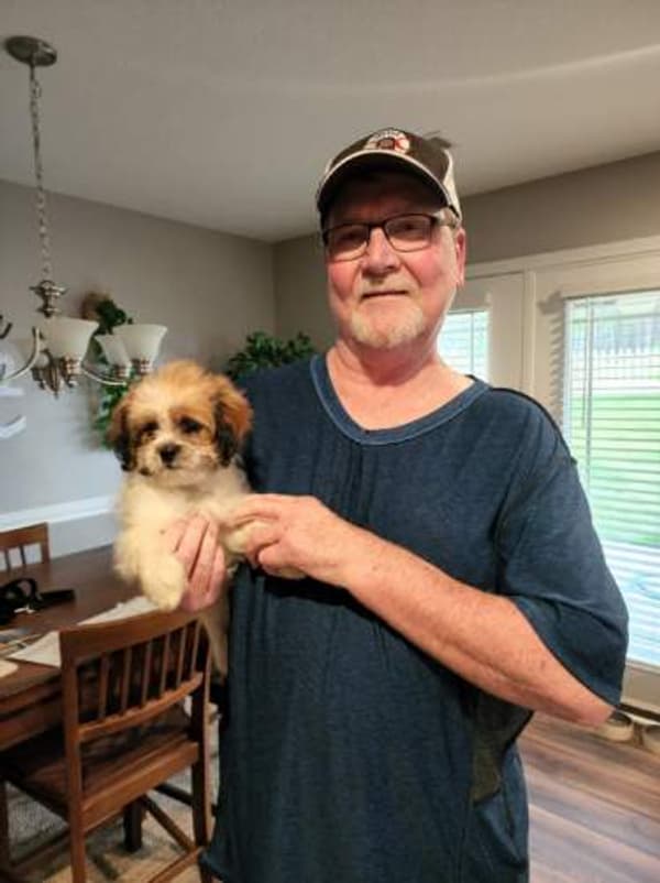 Customer photo of Peekapoo puppy from Mikell H.