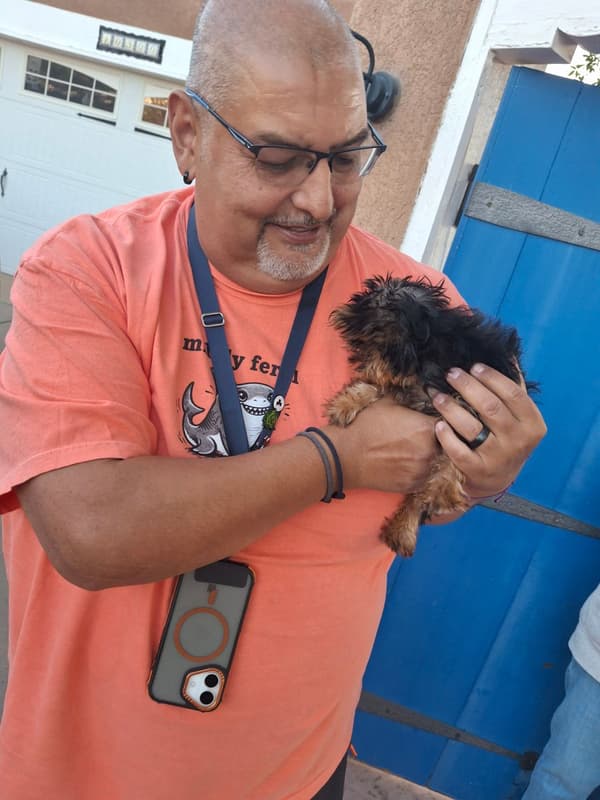 Customer photo of Yorkshire Terrier - Yorkie puppy from Tony M.