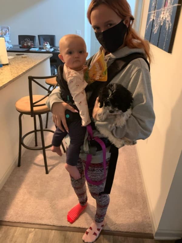 Customer photo of Cockapoo puppy from Daniel C.