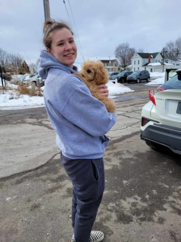 Customer photo of Goldendoodle, Mini puppy from Jen R.